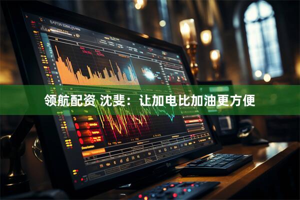 领航配资 沈斐：让加电比加油更方便