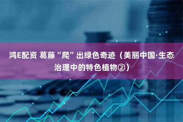 鸿E配资 葛藤“爬”出绿色奇迹（美丽中国·生态治理中的特色植物②）