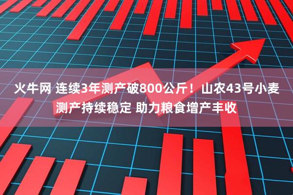 火牛网 连续3年测产破800公斤！山农43号小麦测产持续稳定 助力粮食增产丰收