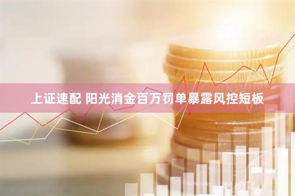 上证速配 阳光消金百万罚单暴露风控短板
