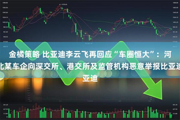 金橘策略 比亚迪李云飞再回应“车圈恒大”：河北某车企向深交所、港交所及监管机构恶意举报比亚迪