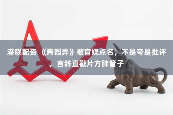 港联配资 《酱园弄》被官媒点名，不是夸是批评，言辞直戳片方肺管子