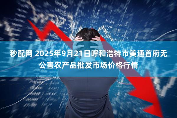 秒配网 2025年9月21日呼和浩特市美通首府无公害农产品批发市场价格行情