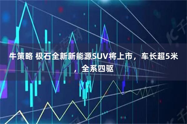 牛策略 极石全新新能源SUV将上市，车长超5米，全系四驱