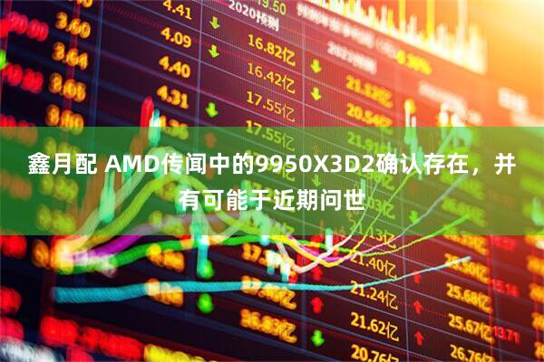 鑫月配 AMD传闻中的9950X3D2确认存在，并有可能于近期问世