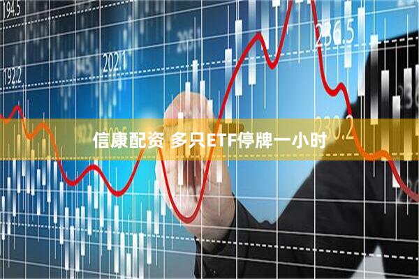 信康配资 多只ETF停牌一小时